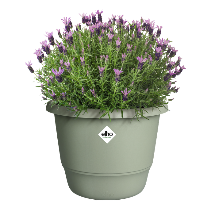 amiga round 25cm verde timo